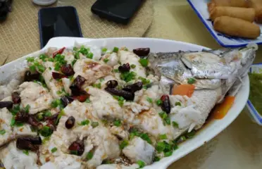 Bamboo shoot – Gulshan, Dhaka