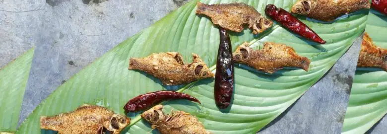 Paturi Banani – Gulshan, Dhaka