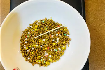 JAJS Restaurant – Bashundhara, Dhaka