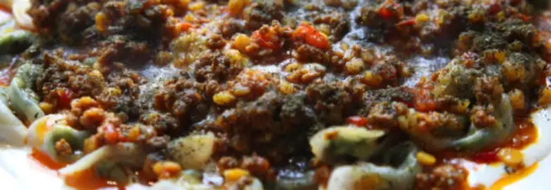 ساندویچی شاندیز